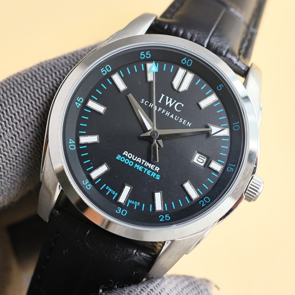 アイ・ダブリュー・シー細部ディテール